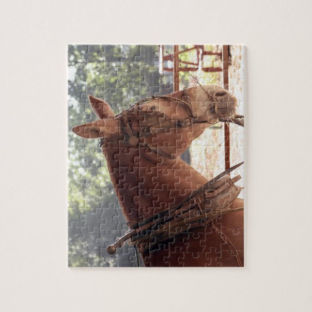 Red Mule Puzzle (Vertical)