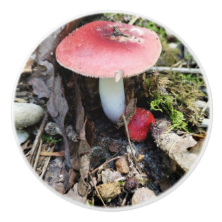 Red Mushroom Fairy Ceramic Knob