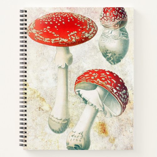 Red mushrooms morel faded distressed background notebook