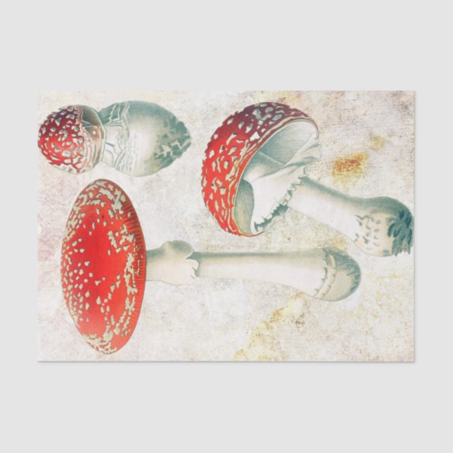 Red mushrooms morel faded distressed background tissue paper (Front)