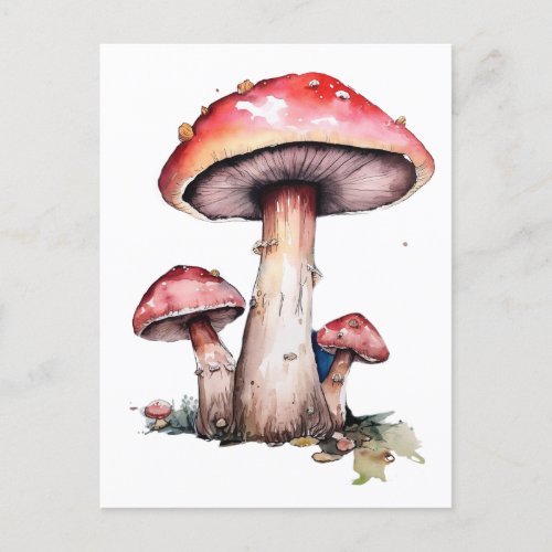 Red Mushrooms Postcard