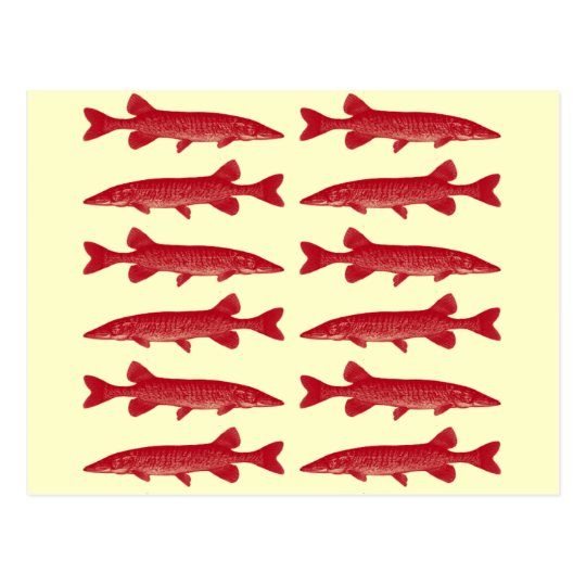 Red Muskie Fish Postcard