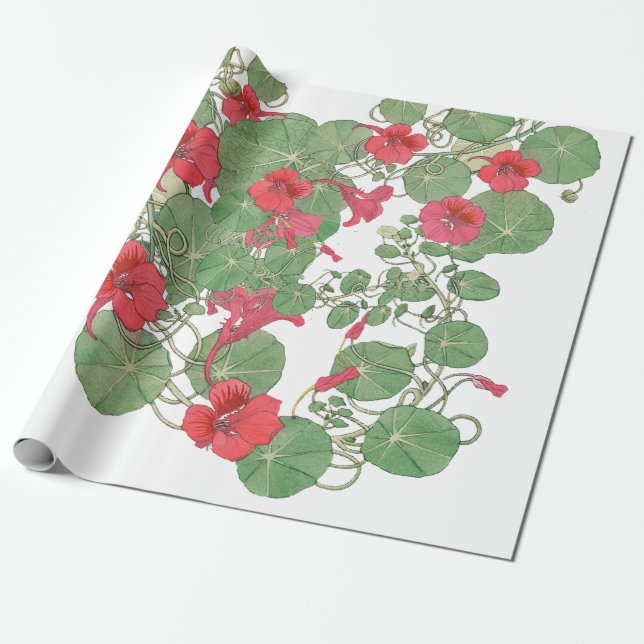 Red Nasturtiums | Antique Lithograph 1896 Wrapping Paper (Unrolled)