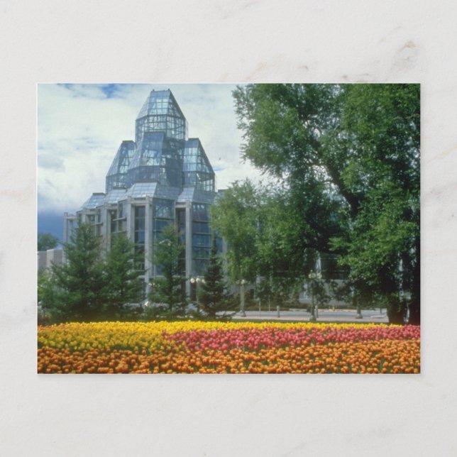 Red National Art Gallery, Ottawa, Canada flowers Postcard (Front)