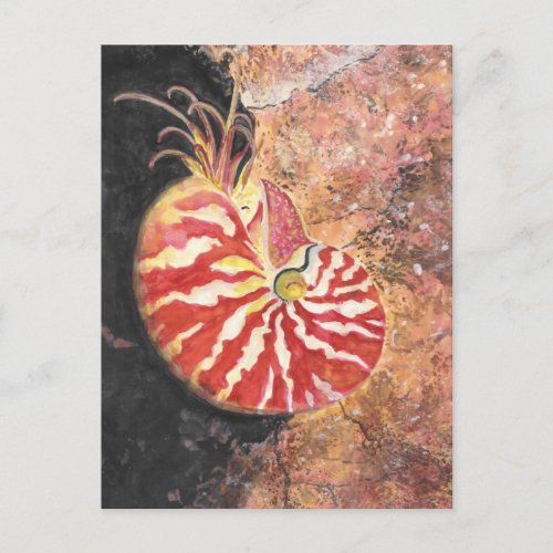 Red Nautilus Postcard