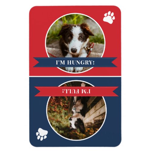 Red Navy Blue Dog Is Fed Photo Magnet