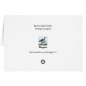 Red-necked Grebe III Cards (Back Horizontal)