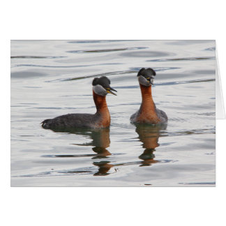 Red-necked Grebe III Cards