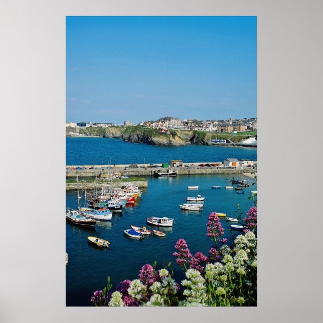 Red Newquay harbor, Cornwall, U.K. flowers Poster (Front)