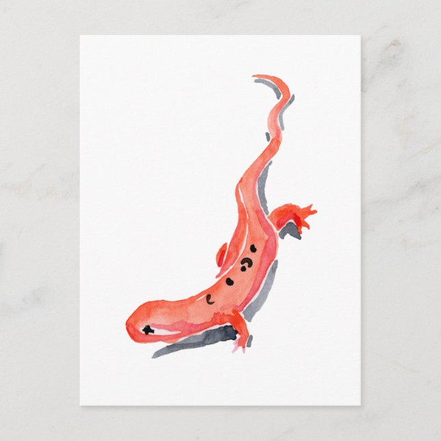 Red Newt Postcard (Front)