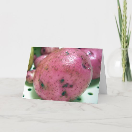 Red Norland potato Holiday Card