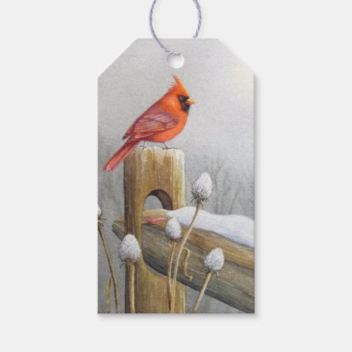 Red Northern Cardinal Bird on Fence Watercolor Art Gift Tags