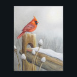 Red Northern Cardinal Bird on Fence Watercolor Art Postcard<br><div class="desc">"Sentry in Red" Watercolor Art Postcard by Artist Jean Weiner "Sentry in Red" features a vibrant red male Northern Cardinal Bird perched on a split rail fence covered in snow. Dried flower cones are also tipped in snow. The sun has risen on a cold winter's day. This bird has chosen...</div>