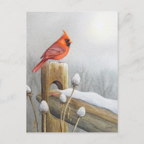 Red Northern Cardinal Bird on Fence Watercolor Art Postcard
