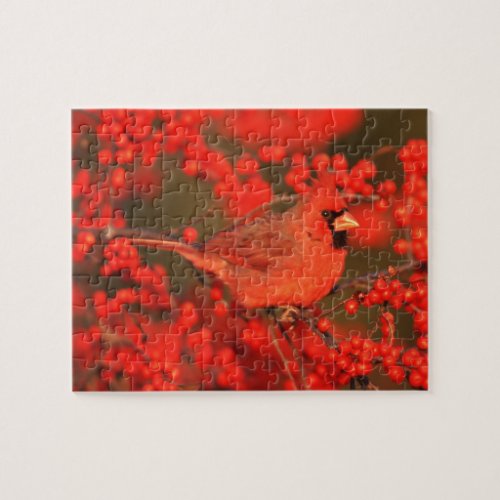 Red Northern Cardinal Male IL Jigsaw Puzzle