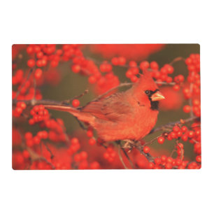 Red Northern Cardinal Male, IL Placemat