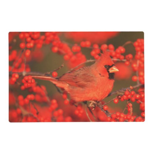 Red Northern Cardinal Male IL Placemat