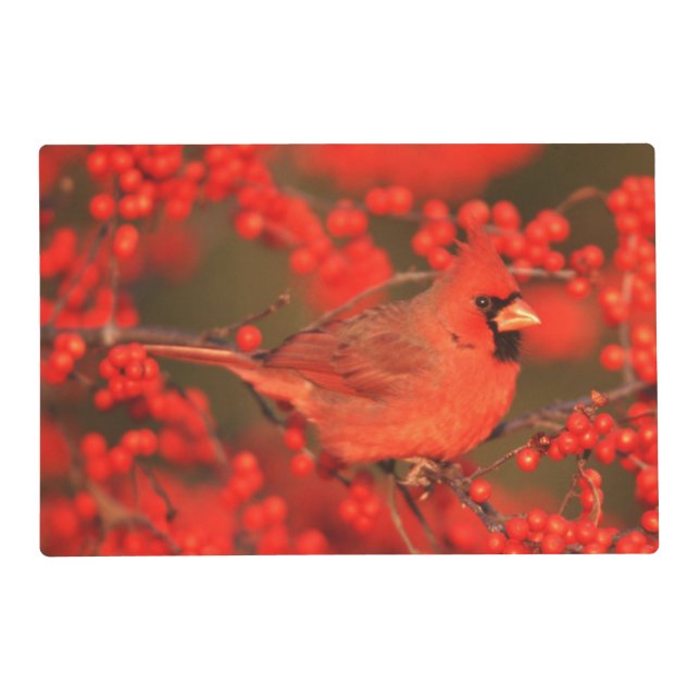 Red Northern Cardinal Male, IL Placemat (Front)