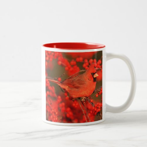Red Northern Cardinal Male IL Two_Tone Coffee Mug