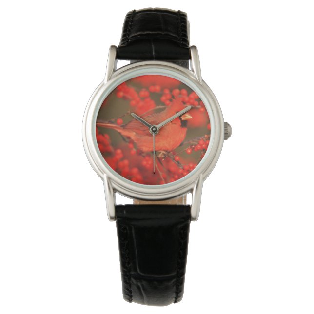 Red Northern Cardinal Male, IL Watch (Front)