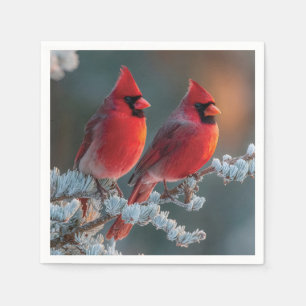 Red Northern Cardinals Perched on a Frosted Branch Napkins