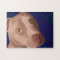 Red Nose Pit Bull with a Blue Background