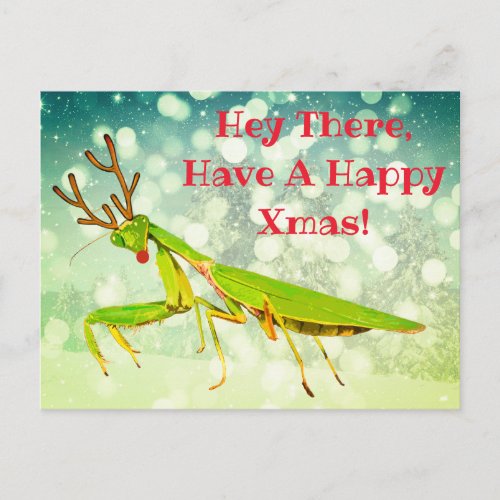 Red Nosed Praying Mantis Weird Christmas Postcard