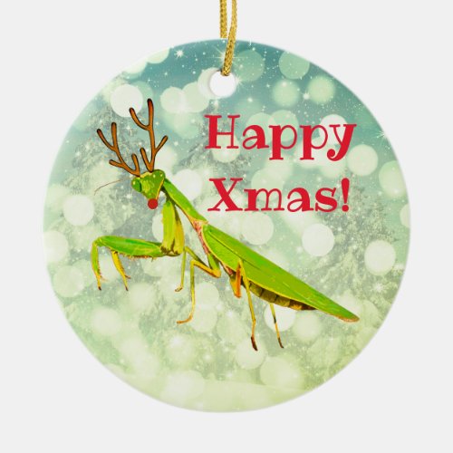 Red Nosed Praying Mantis Weird Custom Christmas Ceramic Ornament