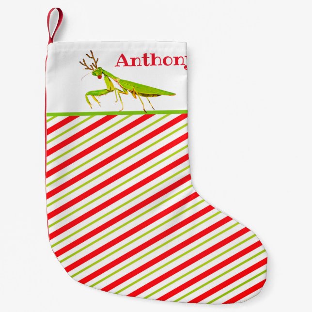 Red Nosed Praying Mantis Weird Custom Name Small Christmas Stocking (Front)