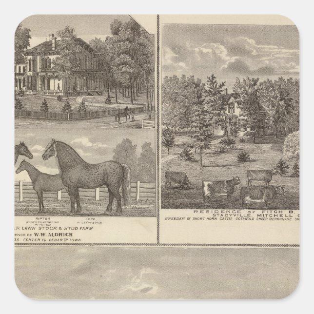 Red Oak farm & residence, Center Tp Square Sticker (Front)
