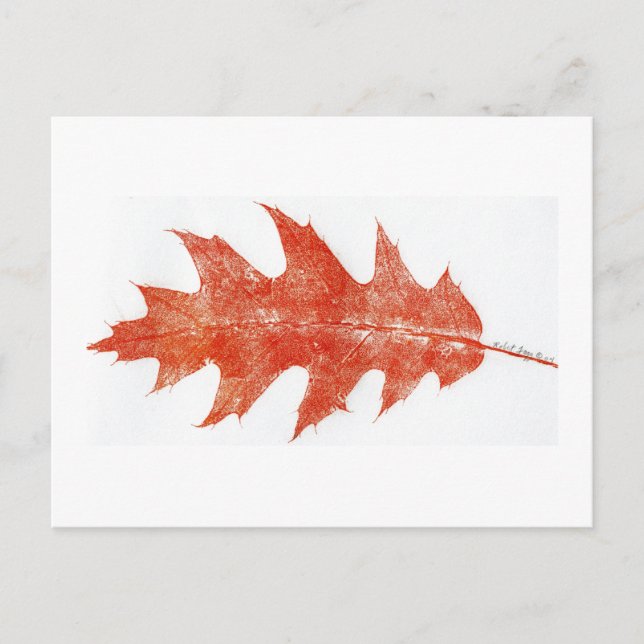 "Red Oak Leaf #2" Country Roads Postcard (Front)