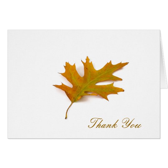 Red Oak Leaf by Petr Kratochvil, Thank You Note Card