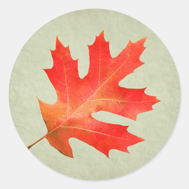 Red Oak Leaf Sticker (Front)