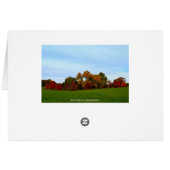 Red Oak Tree in Autumn Cards (Back Horizontal)