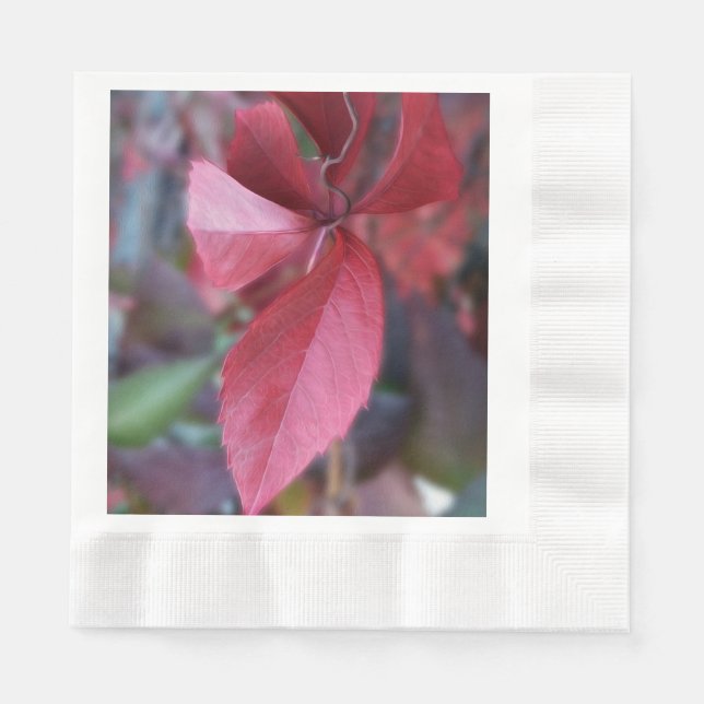 Red of autumn napkins (Front)