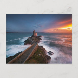 Red of Pleasure Postcard