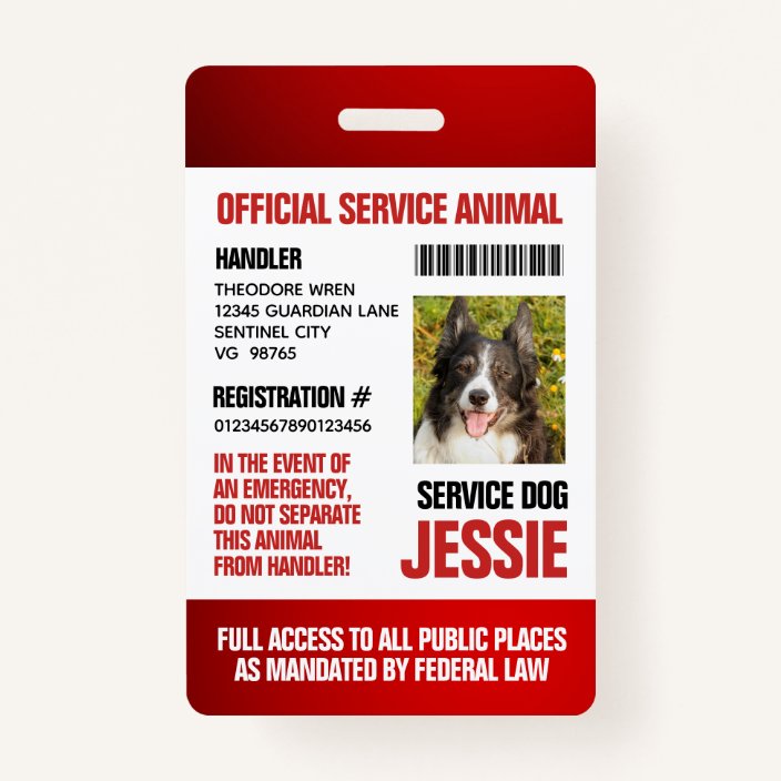 service dog badge