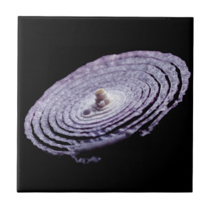 Red Onion Portrait Ceramic Tile