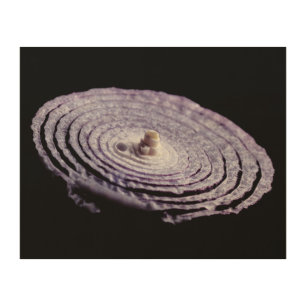 Red Onion Portrait Wood Wall Decor