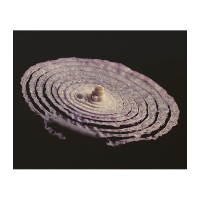 Red Onion Portrait Wood Wall Decor (Front)