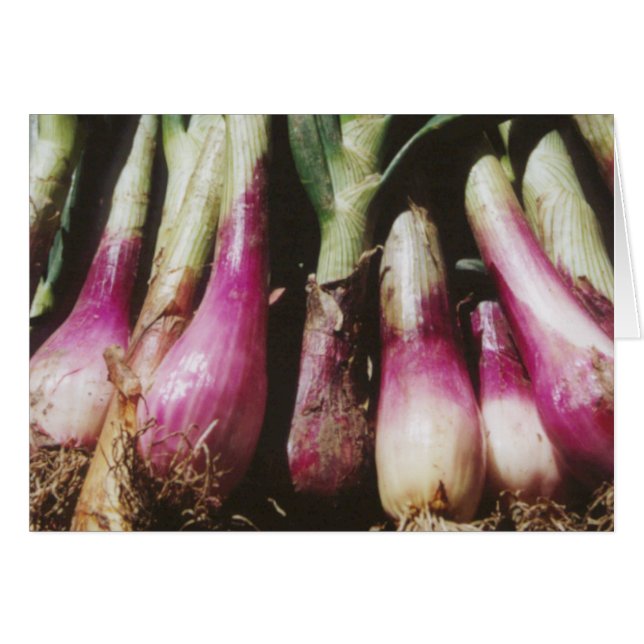 Red Onions at Farmers Vegetable Market Note Card (Front Horizontal)