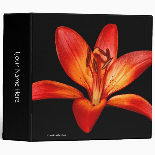 Red Orange Asiatic Lilies Gran Paradiso Binder (Front/Spine)