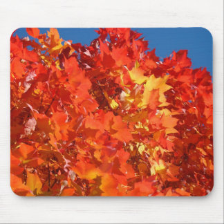 Red Orange Autumn Leaves Fall Blue Sky Mouse Pad