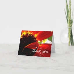 Red orange daisy chic photo thank you note card | Zazzle
