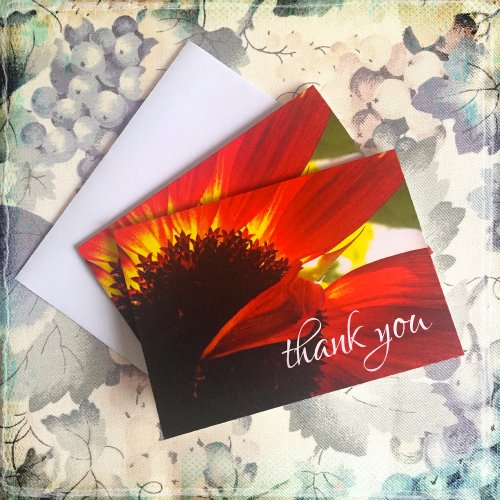 Red orange daisy chic photo thank you note card