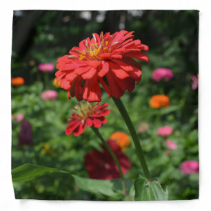 red orange daisy floral, red flower garden bandana