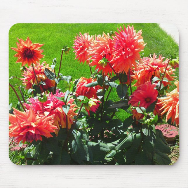 Red Orange Dhalia Mouse Pad (Front)
