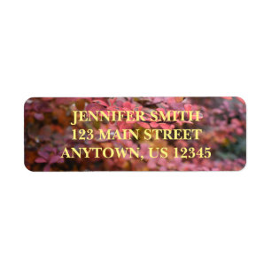 Red Orange Fall Foliage Autumn Leaves Nature Photo Label