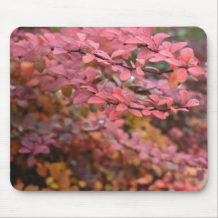 Red Orange Fall Foliage Autumn Leaves Nature Photo Mouse Pad