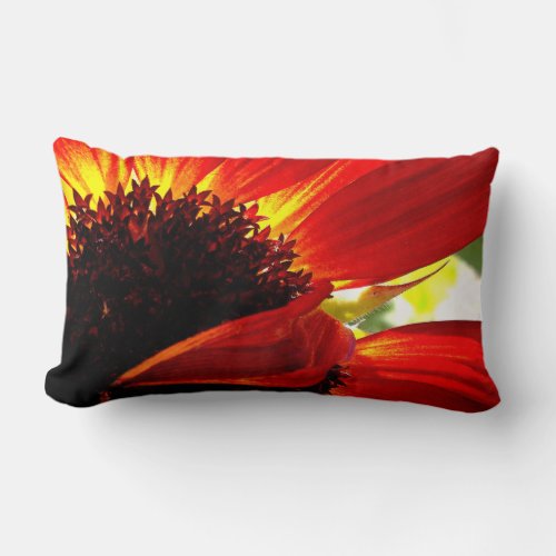 Red Orange Gerbera Daisy Photo Bold Modern Stylish Lumbar Pillow